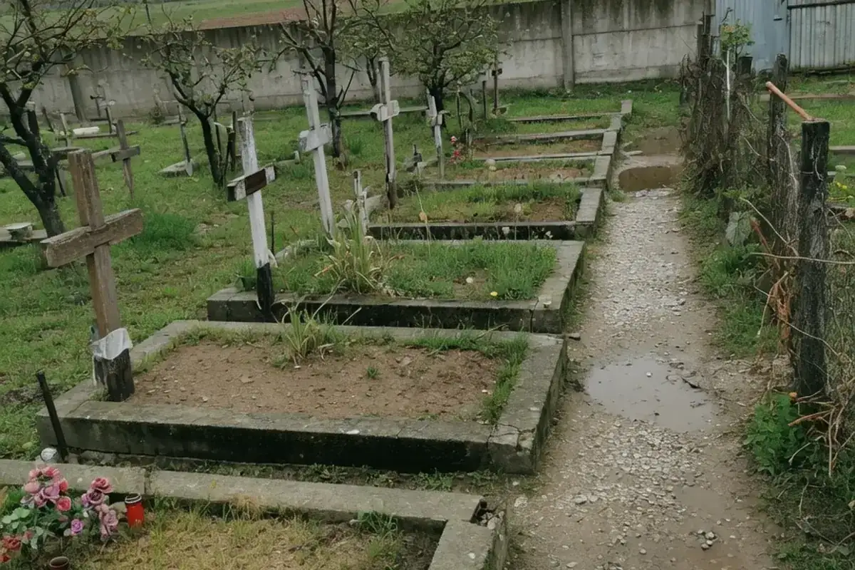 Alee de cimitir comunal din Ilfov