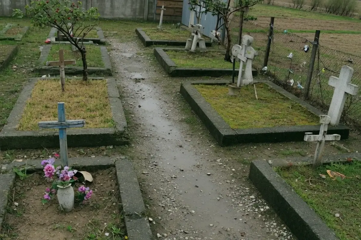 Alee de cimitir comunal din Ilfov