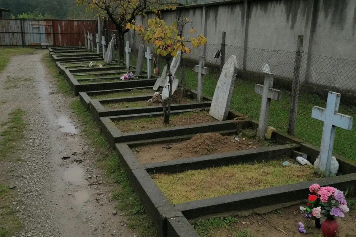 Alee de cimitir comunal din Ilfov