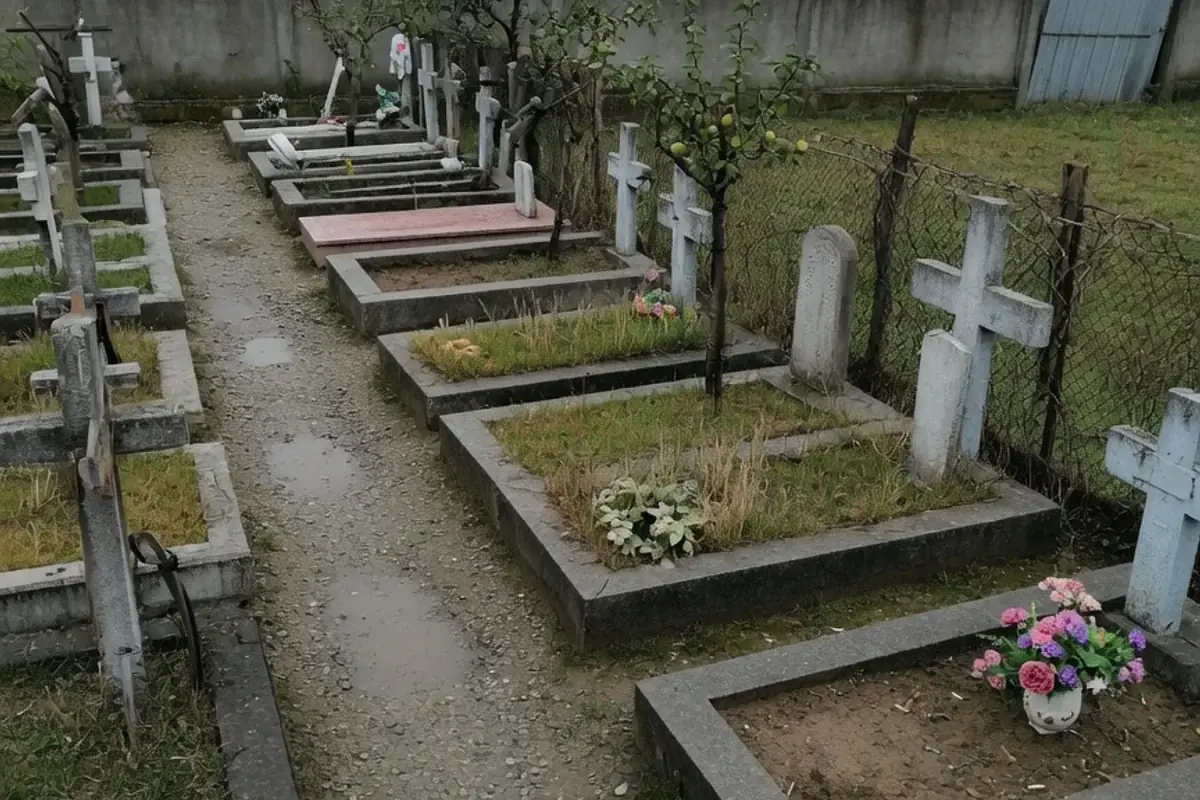 Alee de cimitir comunal din Ilfov