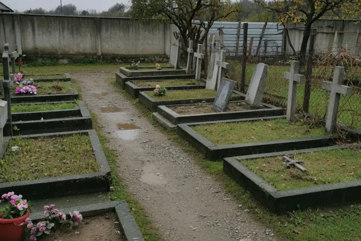 Alee de cimitir comunal din Ilfov