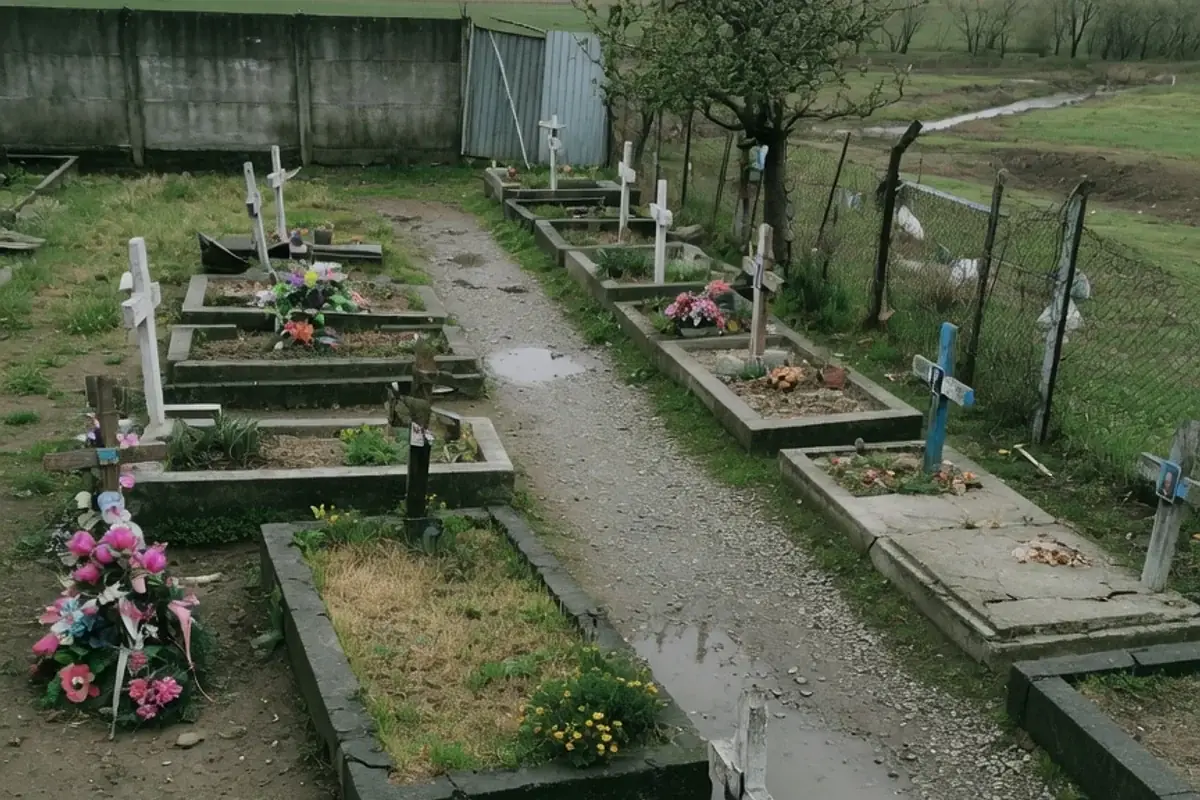 Alee de cimitir comunal din Ilfov