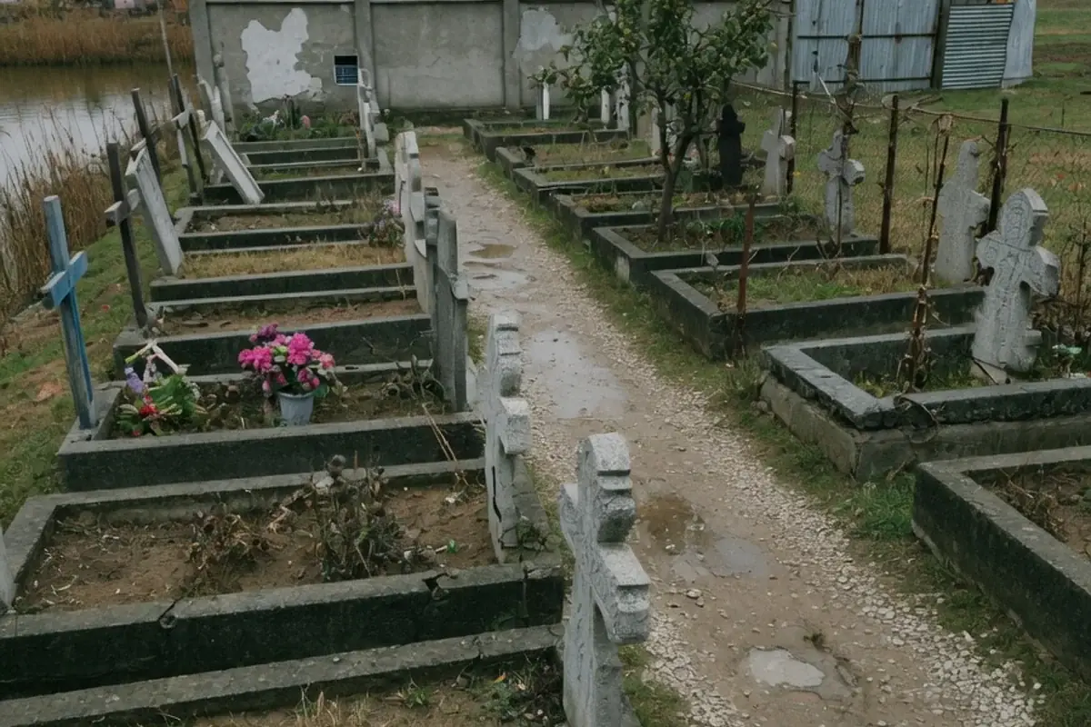 Alee de cimitir comunal din Ilfov
