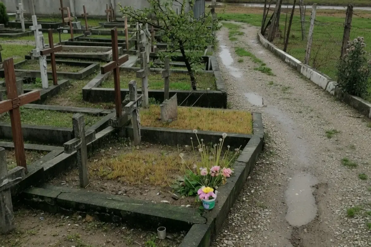 Alee de cimitir comunal din Ilfov
