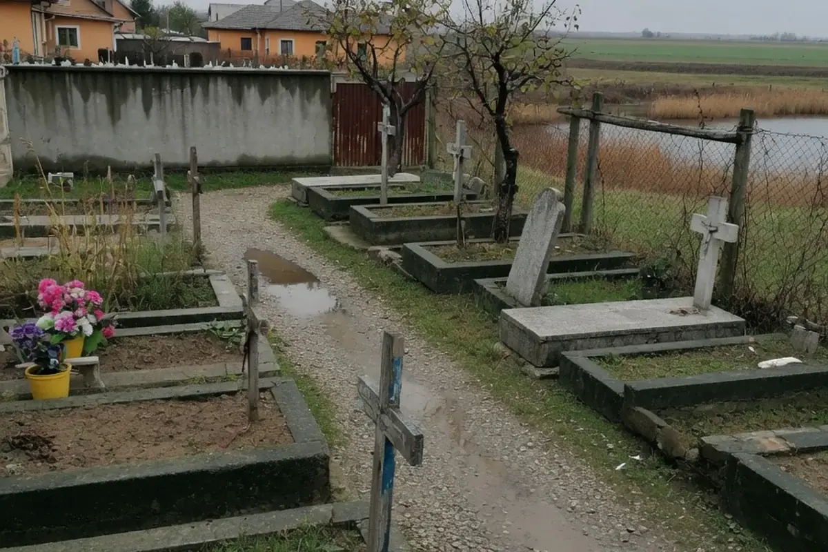 Alee de cimitir comunal din Ilfov