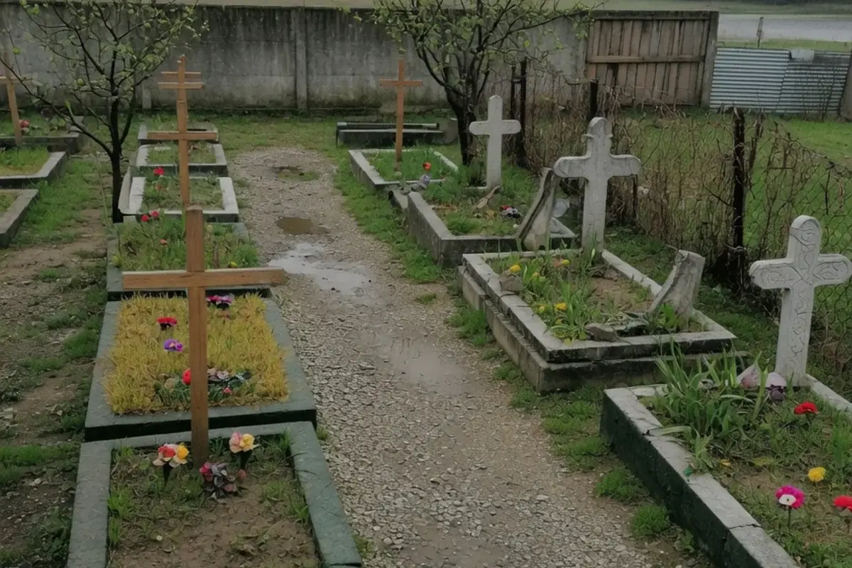 Alee de cimitir comunal din Ilfov