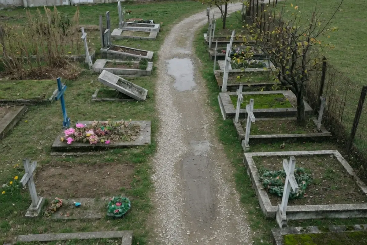 Alee de cimitir comunal din Ilfov