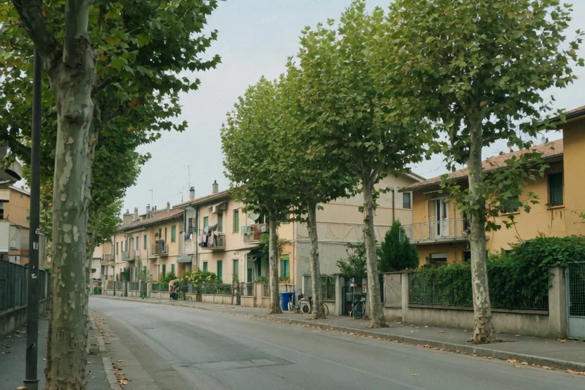Bulevard rezidențial cu tei, lumină de dimineață, Sectorul 1, București