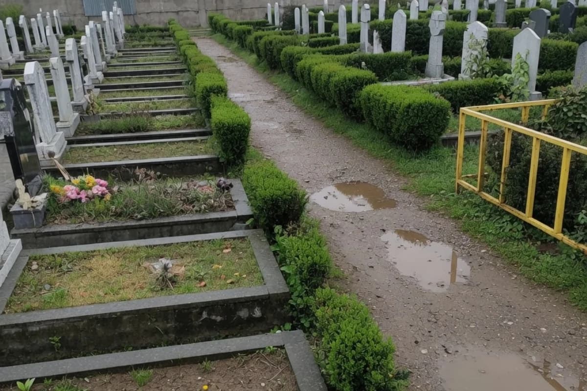 Rânduri neregulate de locuri de veci, gard viu neîngrijit, Sectorul 2, București