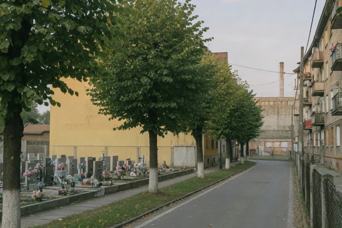 Bulevard rezidențial cu tei, lumină de dimineață, Sectorul 4, București
