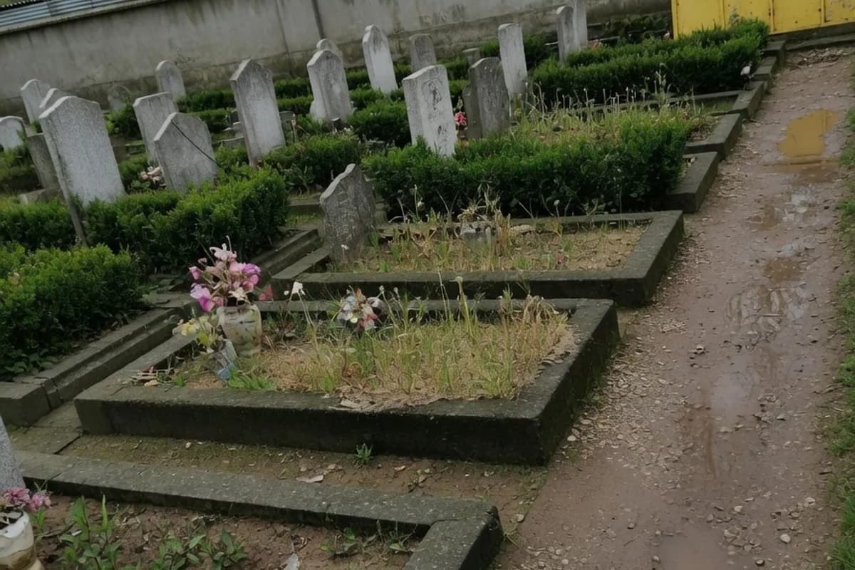 Rânduri neregulate de locuri de veci, gard viu neîngrijit, Sectorul 1, București