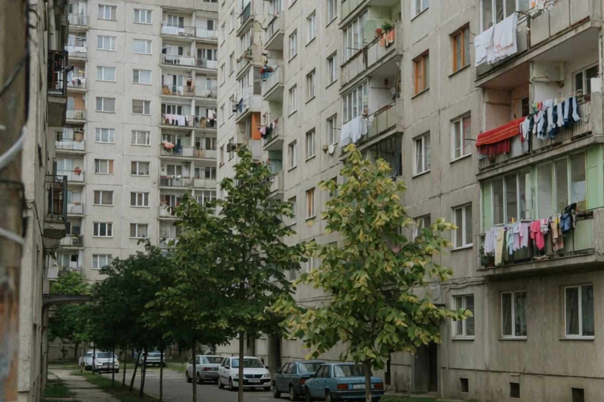 Stradă laterală cu blocuri vechi și tei, lumină de dimineață, Sectorul 2, București