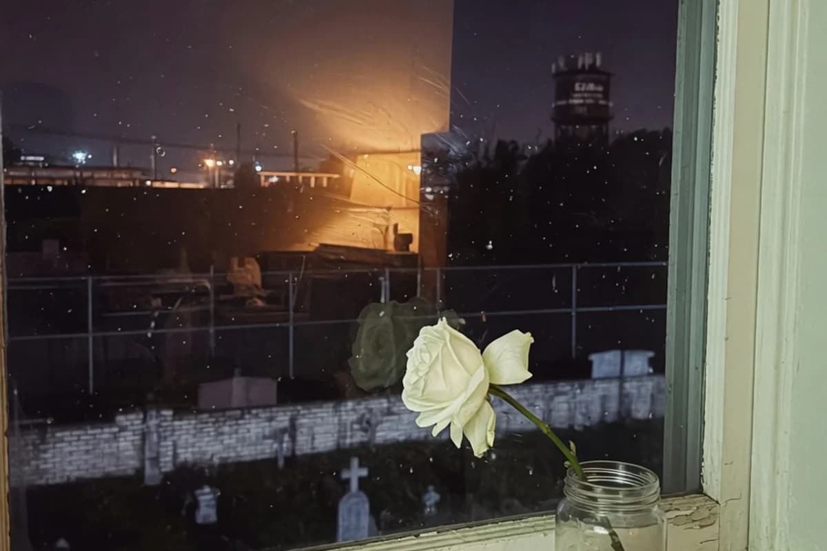 Un trandafir alb pe pervazul unei ferestre, în lumină slabă, Sectorul 4, București