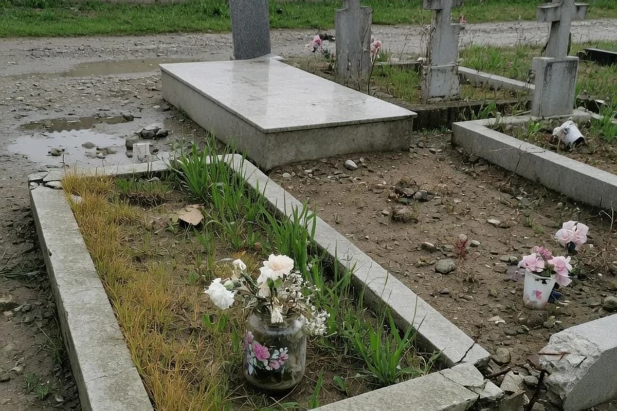 Loc de veci obișnuit, flori simple și iarbă neregulată, Sectorul 4, București