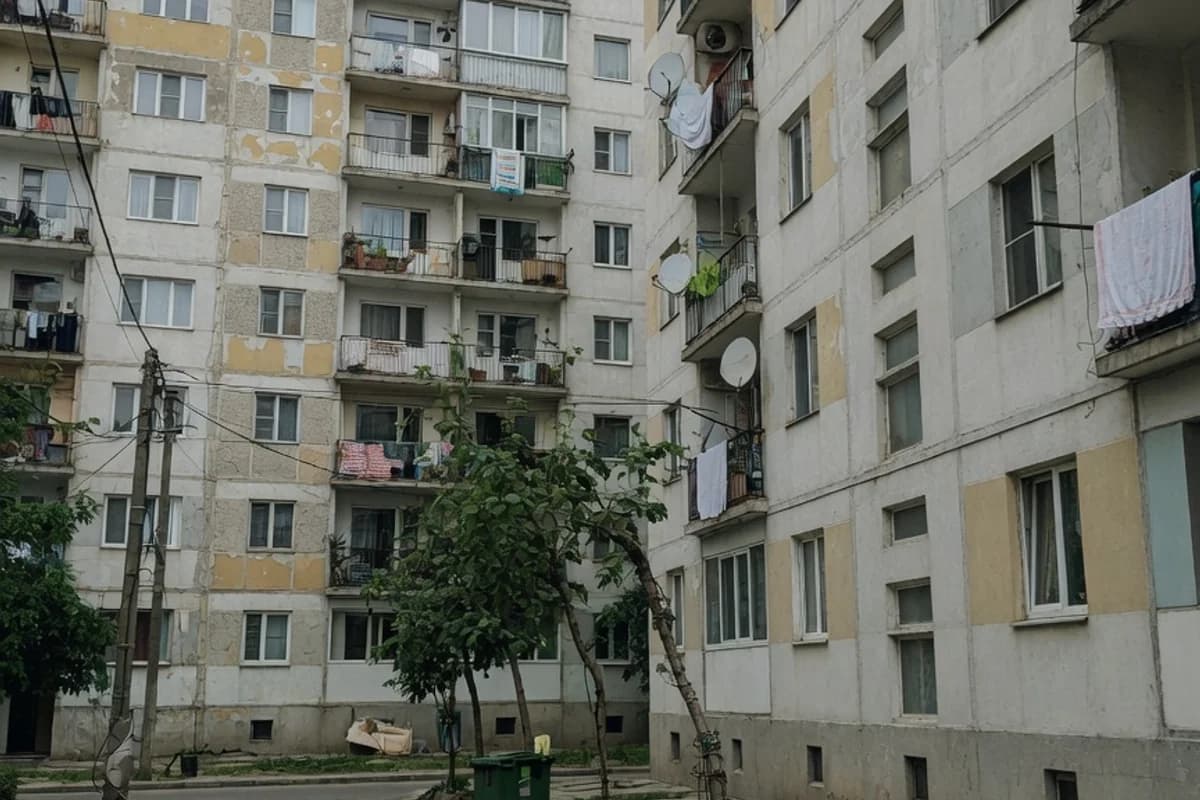 Stradă laterală cu blocuri vechi și tei, lumină de dimineață, Sectorul 5, București
