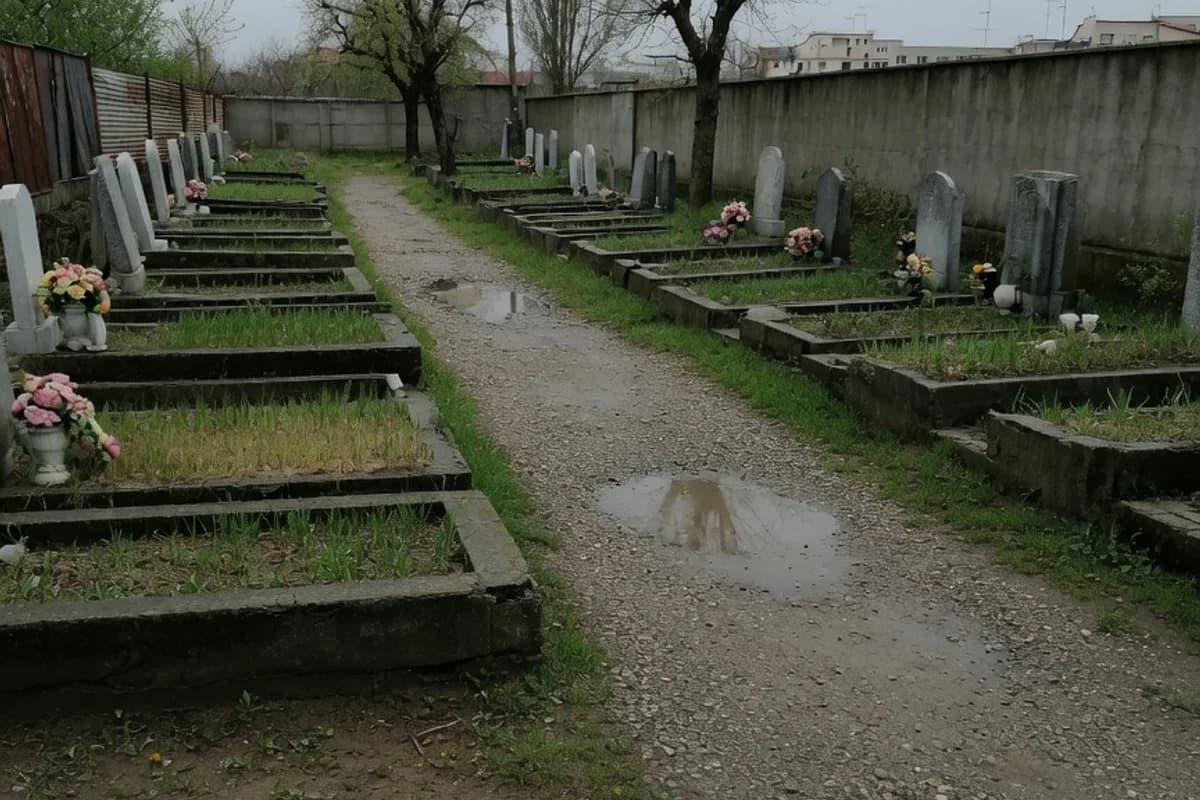 Alee de cimitir cu copaci bătrâni, lumină de dimineață înnorată, Sectorul 5, București
