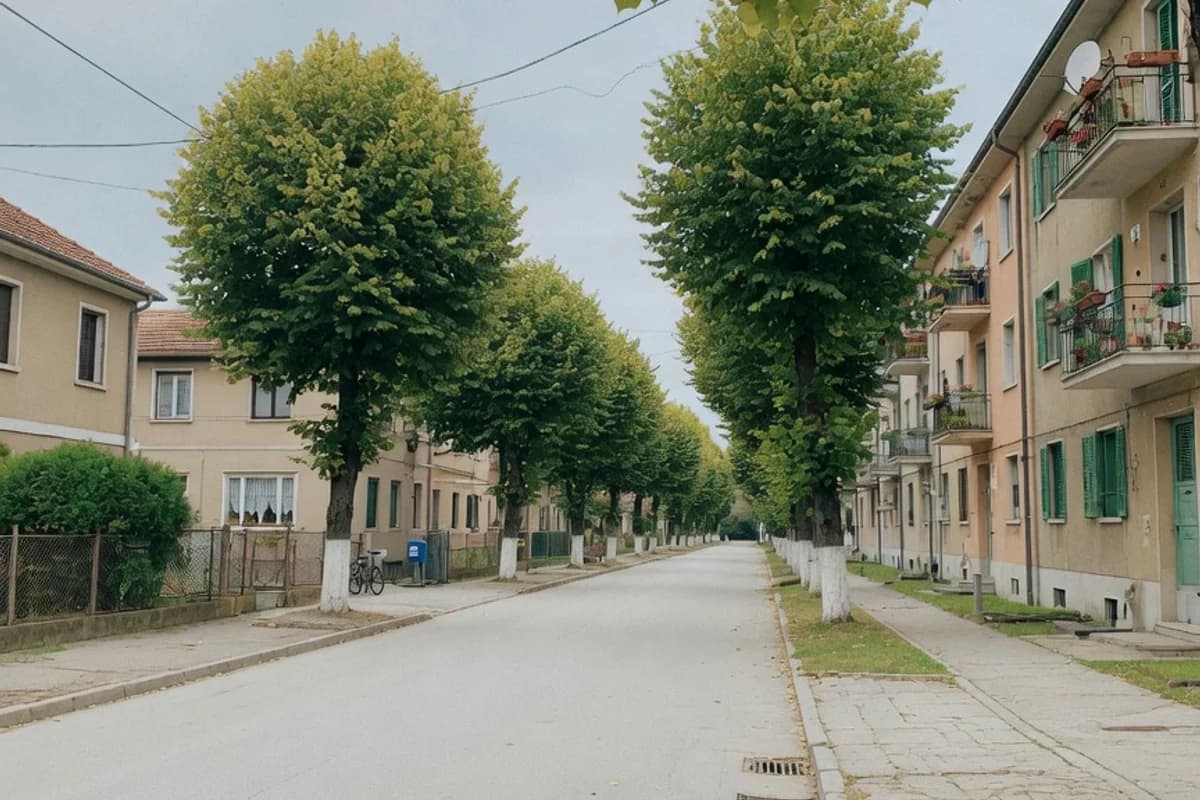 Bulevard rezidențial cu tei, lumină de dimineață, Sectorul 5, București