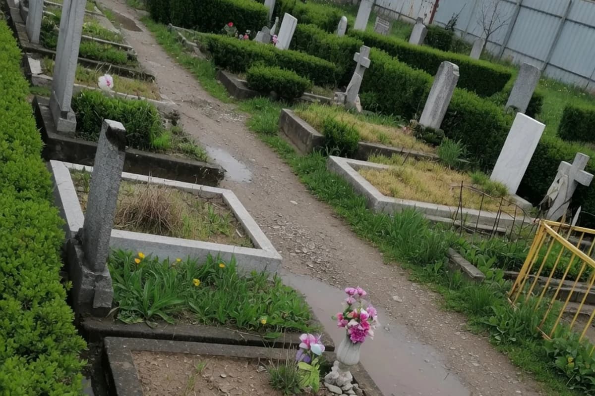 Rânduri neregulate de locuri de veci, gard viu neîngrijit, Sectorul 6, București